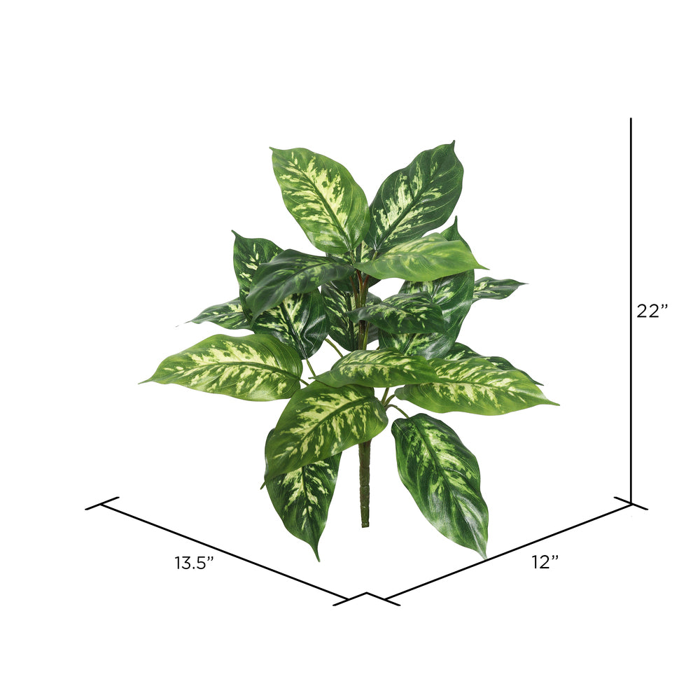 Vickerman 22" Artificial Green Dieffenbachia Plant Pack of 2