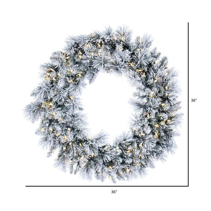Vickerman 36" Flocked Jackson Pine Artificial Pre-Lit Wreath with 100 Warm White Lights and 195 PVC Tips