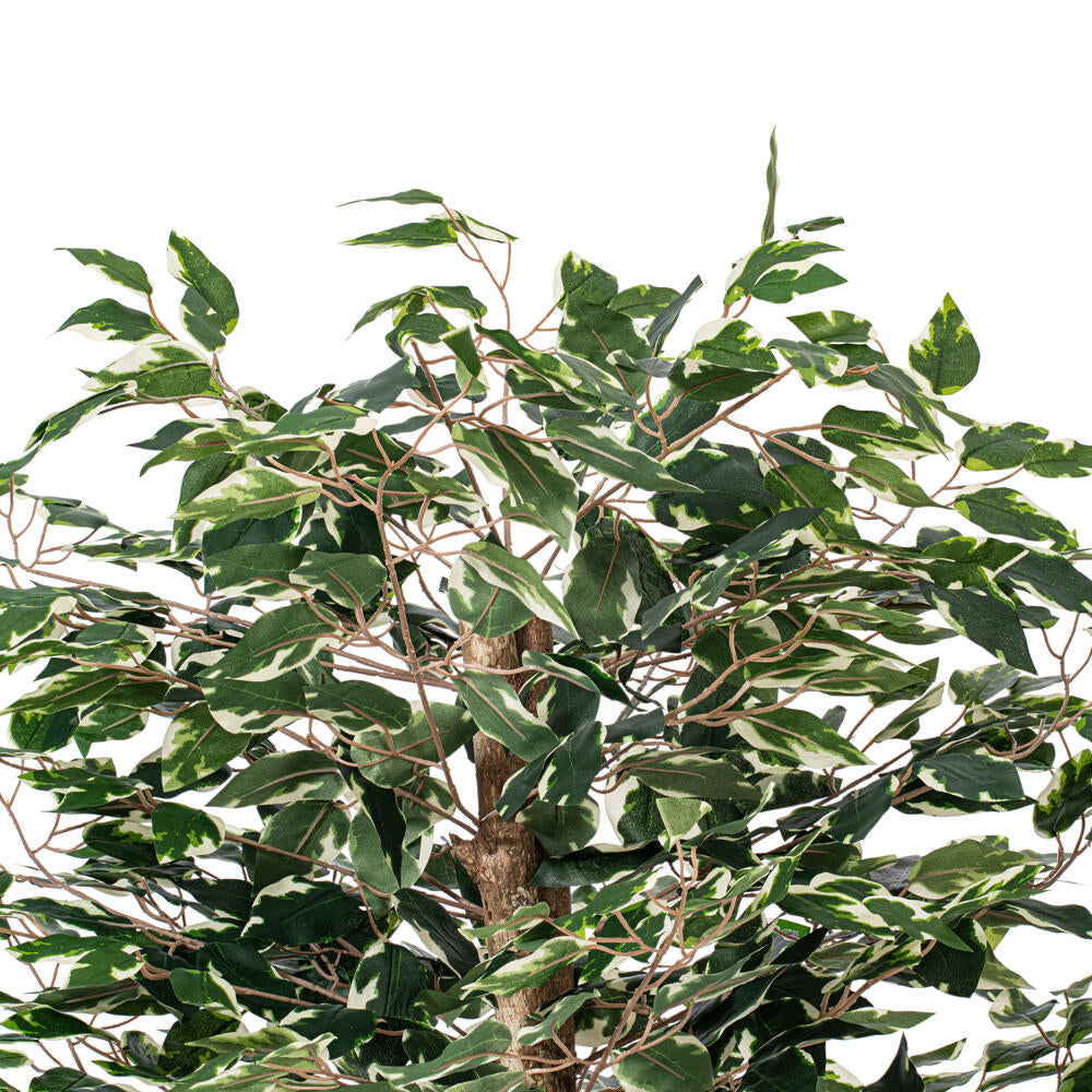 Vickerman 4' Artificial Variegated Ficus Bush Brown Plastic Container.