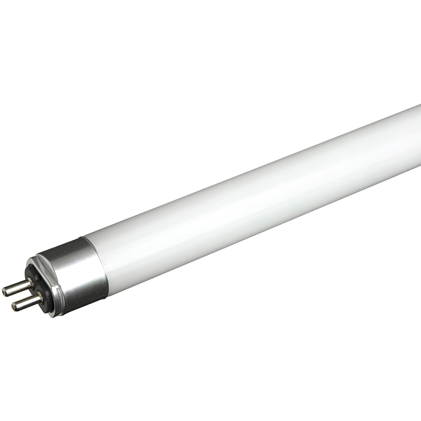 Sunlite T5/LED/IS/4'/25W/65K/HL 25 Watt T5 Lamp Medium Bi-Pin (G13) Base Daylight, Pack of 25