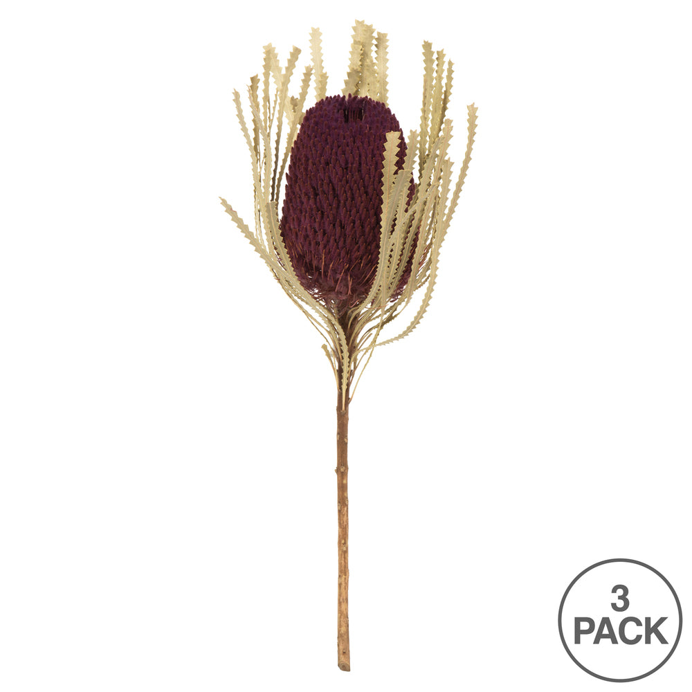 Vickerman 12" Jumbo Violet Banksia Flower with Stem. Includes 3 Stems per Pack. Dried