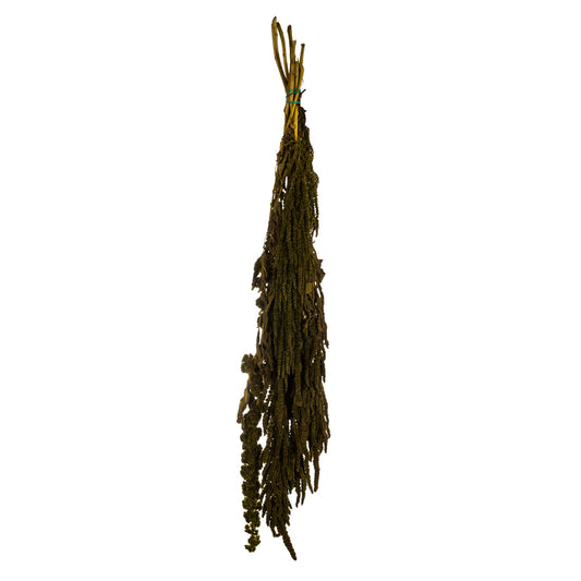 Vickerman 30" Olive Green Amaranthus Bundle Preserved