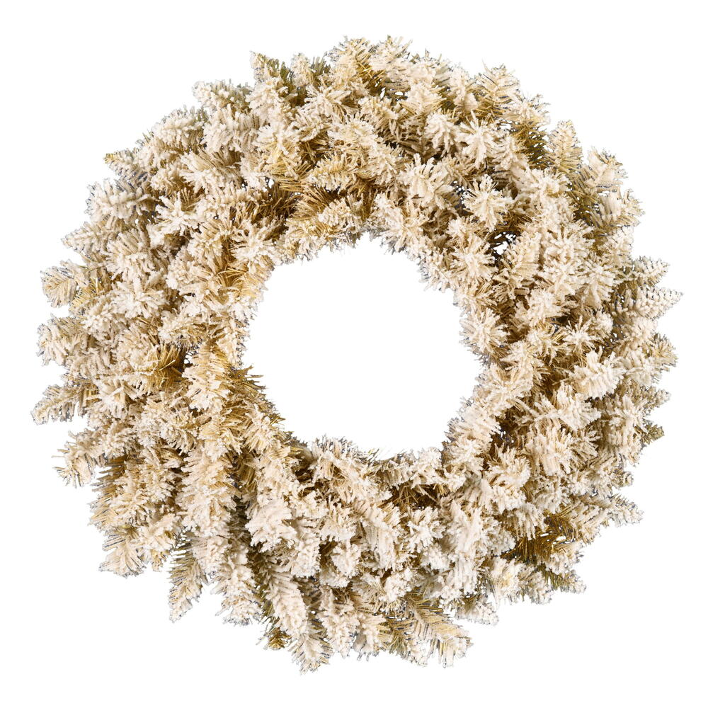 Vickerman 24" Frosted Gold Artificial Christmas Wreath Unlit