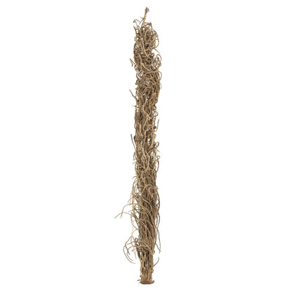 Vickerman 36-40" Natural Medusa Branch - medium 1 piece Dried