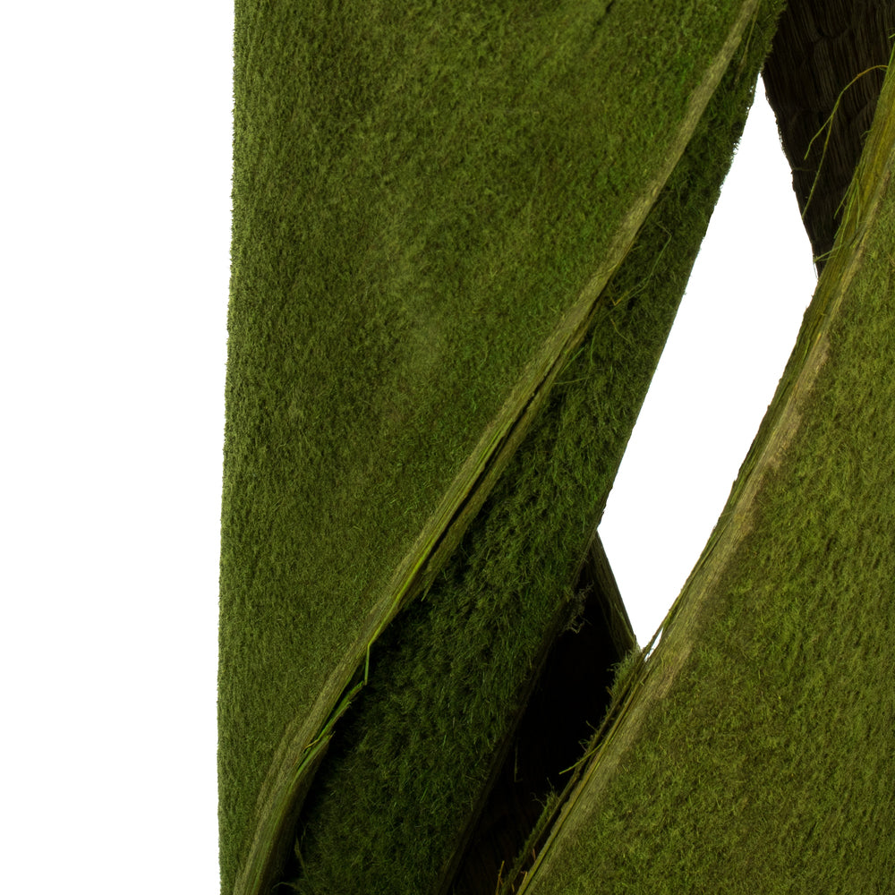 Vickerman 45 - 48" Basil Coco Velvet - Curled 3 stems Dried