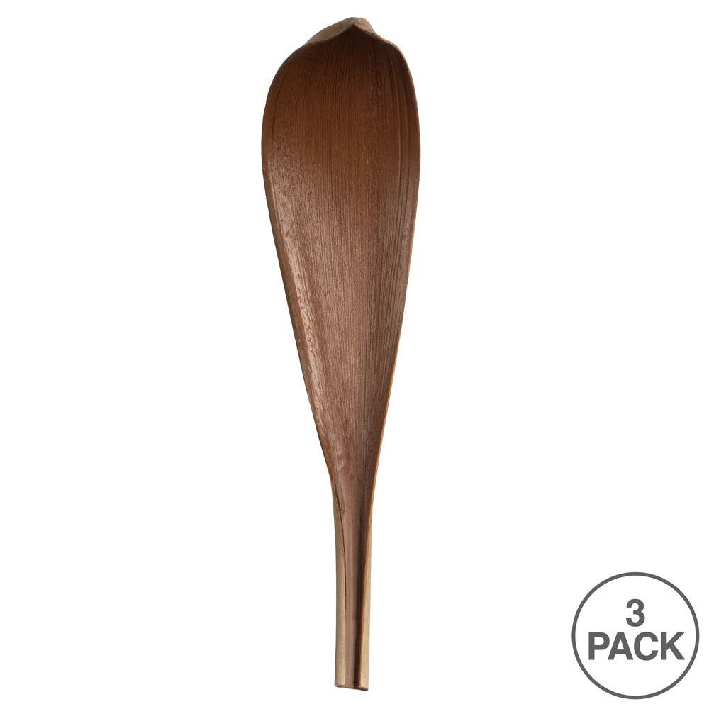 Vickerman 33-40" Natural Palm Paddle 3 pack Dried