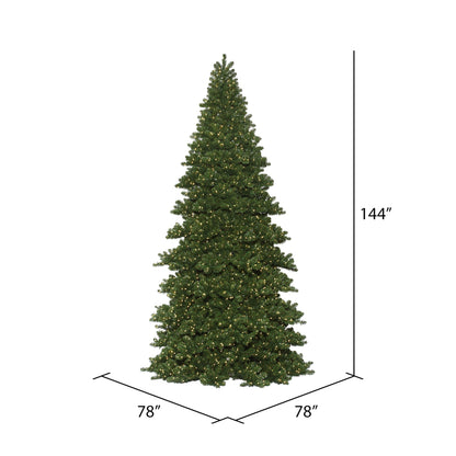 Vickerman 12' x 78" Oregon Fir Artificial Christmas Frame Tree Warm White Dura-lit LED Lights