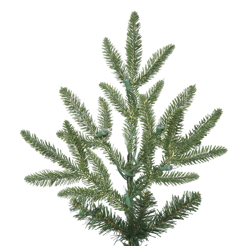 Vickerman 14' Medium Deluxe Fraser Fir Artificial Christmas Tree Unlit