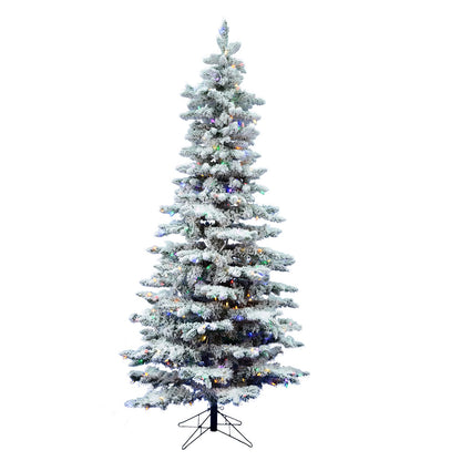 Vickerman 12' Flocked Utica Fir Slim Artificial Christmas Tree Multi-Colored LED Lights Comes