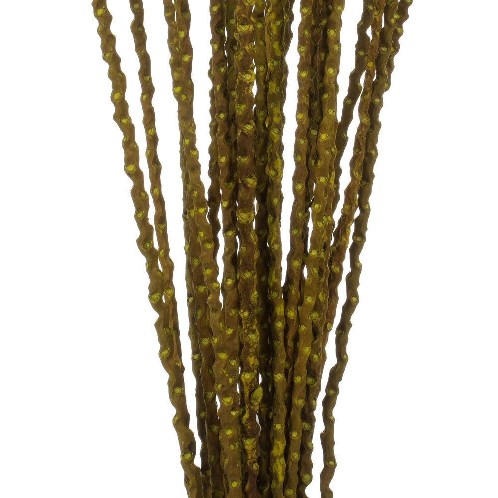 Vickerman 36-40" Light Basil Caba Spine Bundle. Includes 24oz (3 -8oz Bundles) Dried