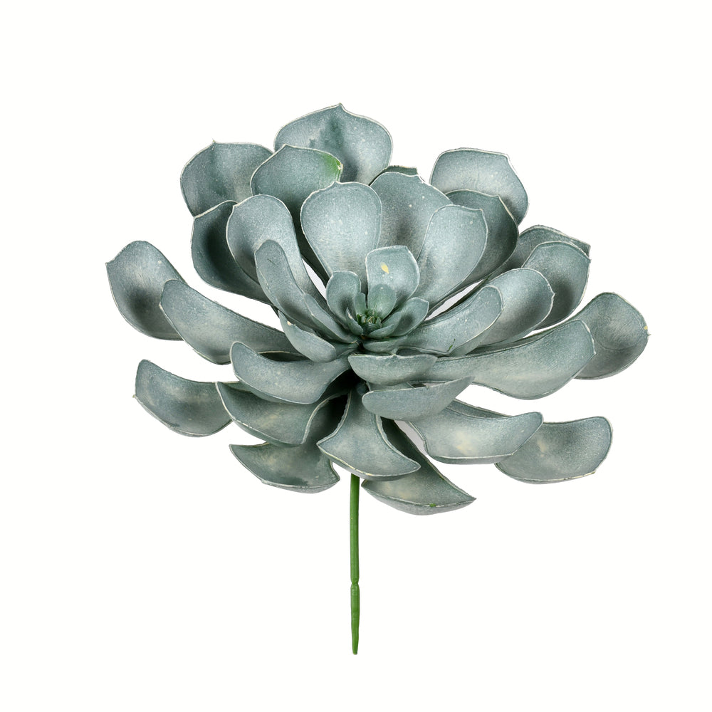 Vickerman 9.5" Artificial Rust Green Peperomia Succulent Set of 3
