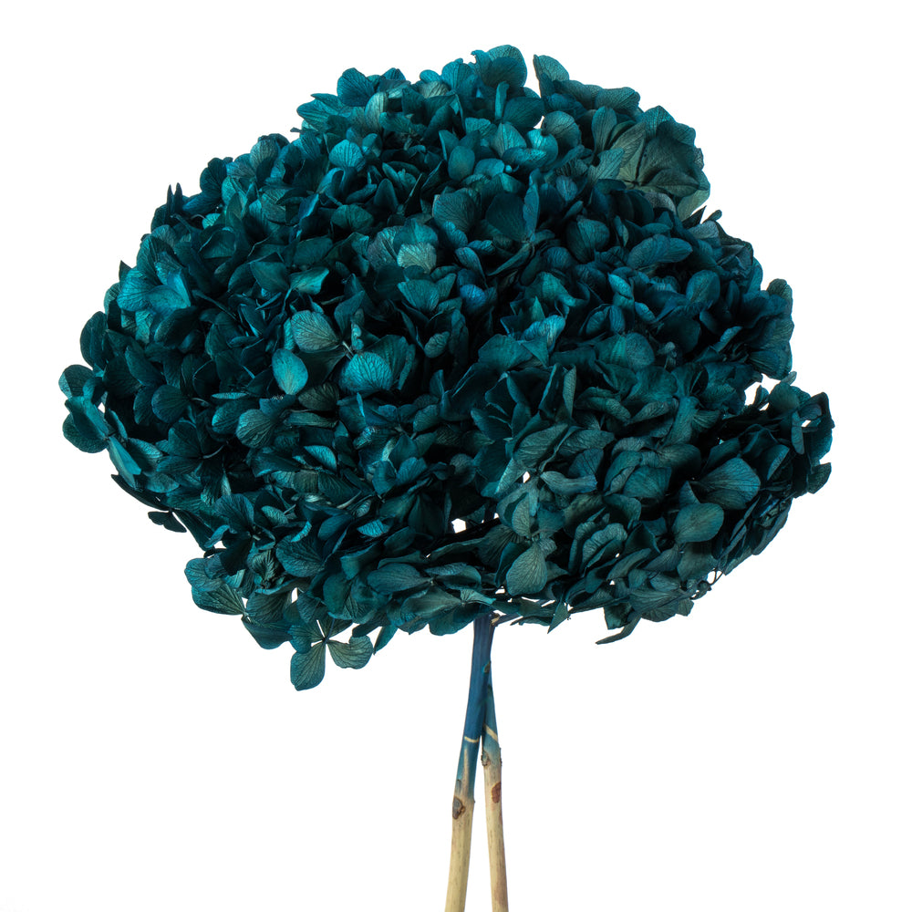 Vickerman 15" Blue Hydrangea with Multiple Branch Segments. Preserved