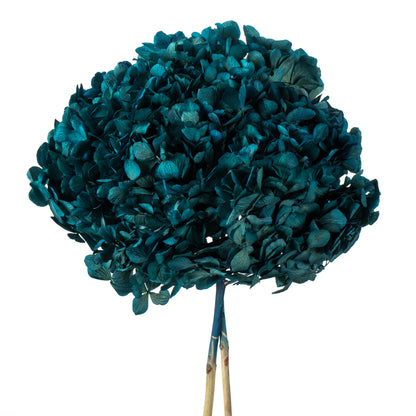 Vickerman 15" Blue Hydrangea with Multiple Branch Segments. Preserved
