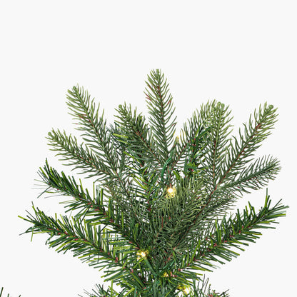 Vickerman 6.5' x 40" Douglas Fir Artificial Slim Pre-Lit Christmas Tree Warm White LED Mini Lights.