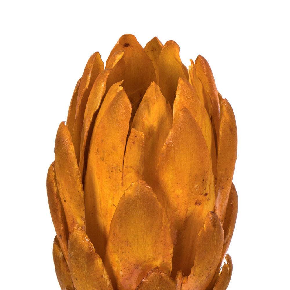 Vickerman 8-12" Aspen Gold Repens - Natural Stem -Bulk case 180 pieces Dried