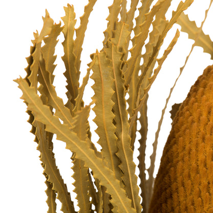 Vickerman 12" Jumbo Aspen Gold Banksia Flower with Dyed Foliage. Includes 3 Stems per Pack. Dried