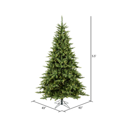 Vickerman 5.5' Camdon Fir Artificial Christmas Tree Warm White Dura-lit LED Lights