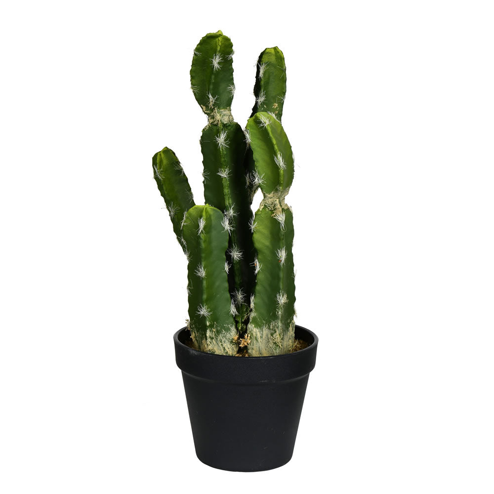 Vickerman 14" Artificial Green Potted Cactus.