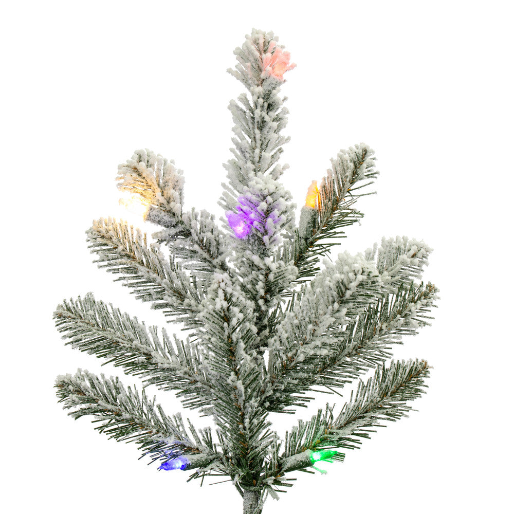 Vickerman 6.5' x 53" Flocked Bavarian Pine Artificial Pre-Lit Christmas Tree Multi-Colored Lights.