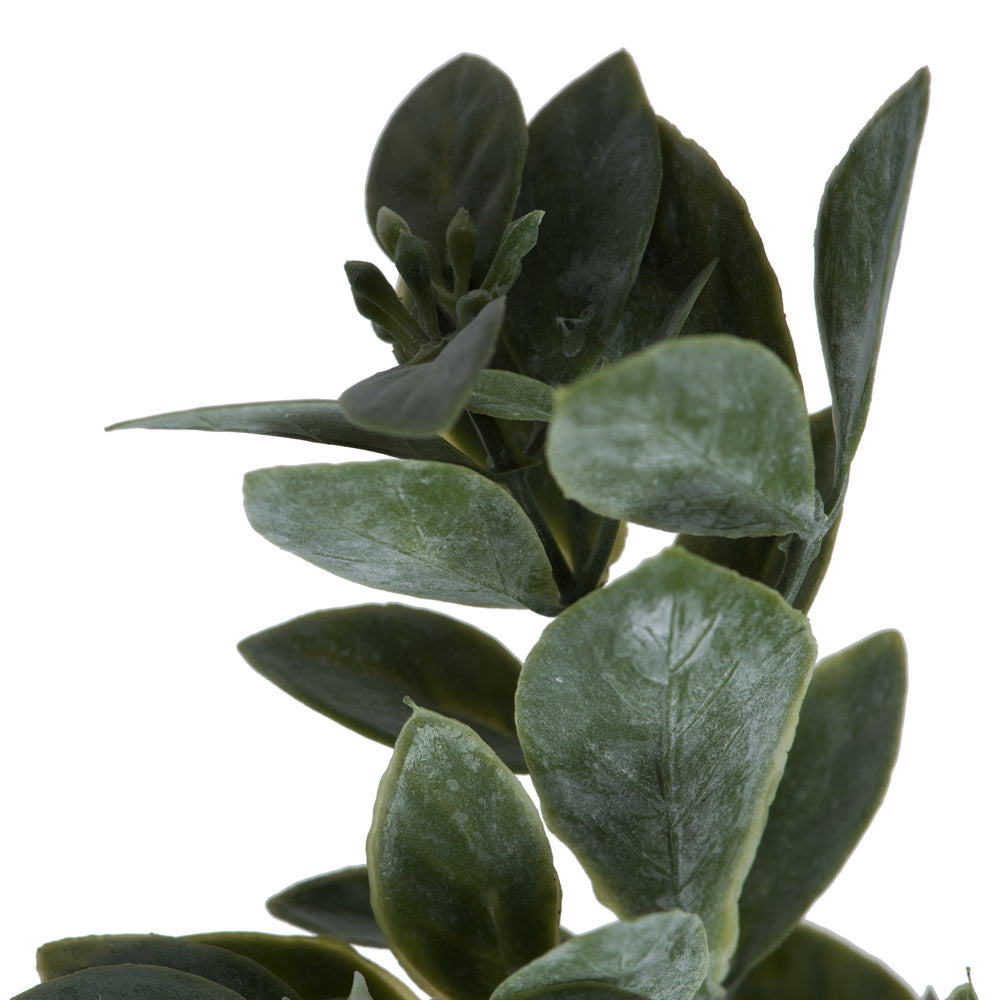 Vickerman 20" Artificial Green and White Aglaia Spray. Includes 6 sprays per pack.