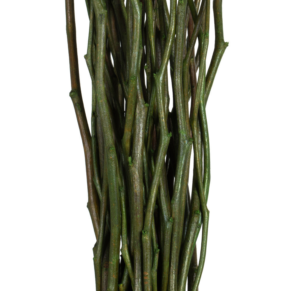 Vickerman 35-40" Foliage Green Moneta Branches 8 oz Bundle Dried