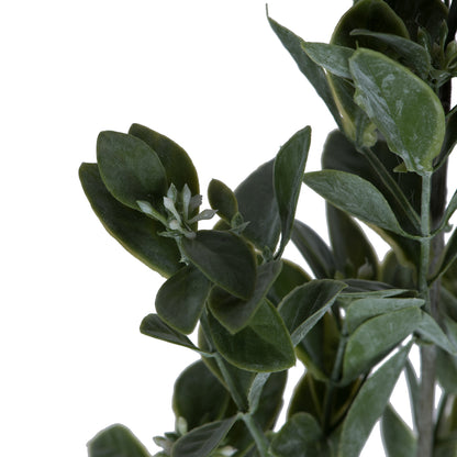 Vickerman 20" Artificial Green and White Aglaia Spray. Includes 6 sprays per pack.