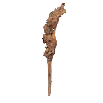 Vickerman Natural Botanicals 8"-10" Palm Female. Includes 10 pieces per Pack.