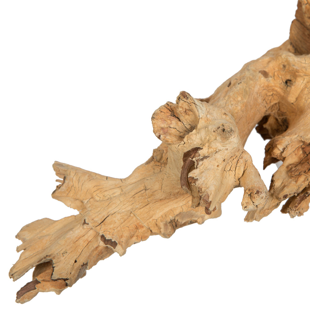 Vickerman 9-12" Bleached Roots - Amazonian Small 1 piece Dried