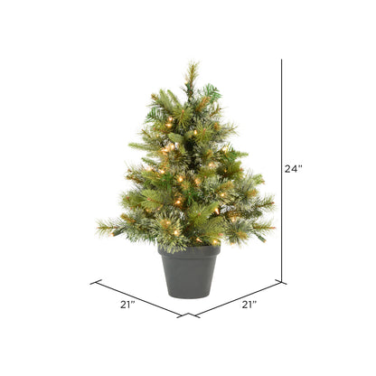 Vickerman 24" Cashmere Pine Artificial Christmas Tree Clear Dura-Lit®Lights