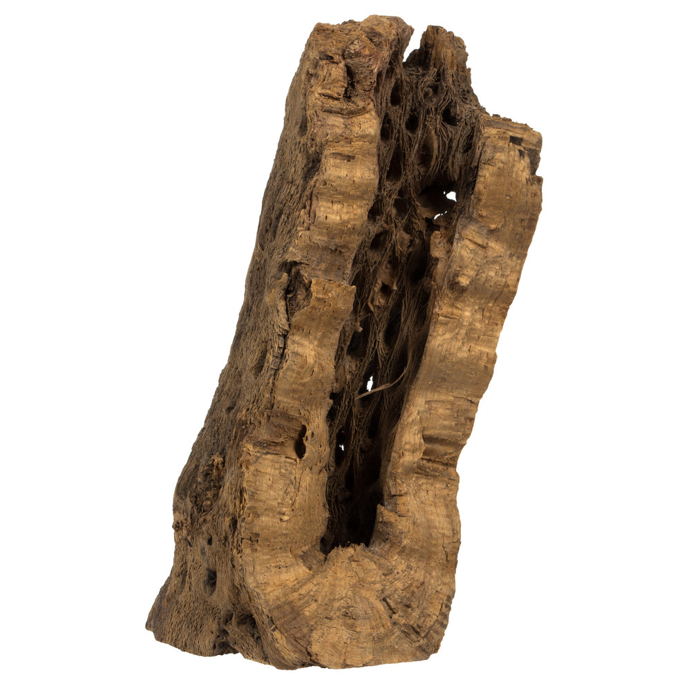 Vickerman 4 -18" Assorted Cholla Odds & Ends bulk case. Dried