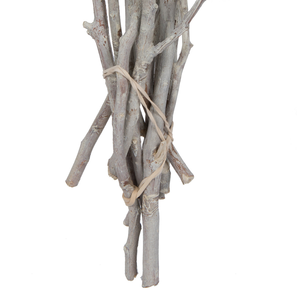 Vickerman Natural Botanicals 11" x 4" Bellgum Branch 5-7 Bells Ivory Frosted 10 stems per unit