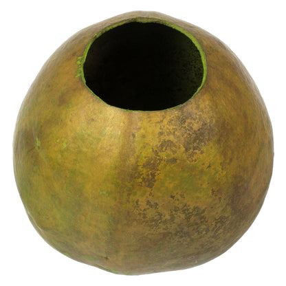 Vickerman 6-7" h x 6-8" w Basil Bacacuia Gourd 1 piece Dried