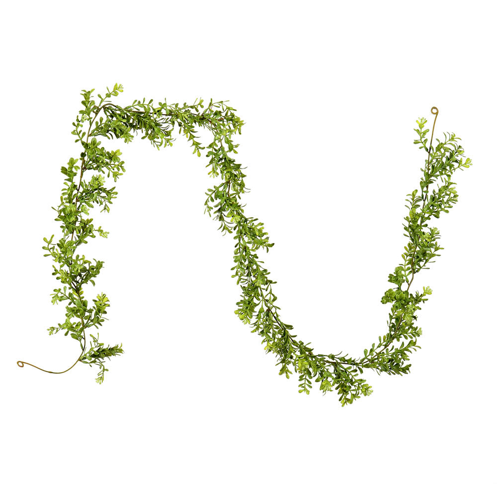 Vickerman 6' Artificial Green Boxwood Moderne Garland.