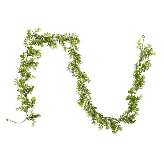 Vickerman 6' Artificial Green Boxwood Moderne Garland.