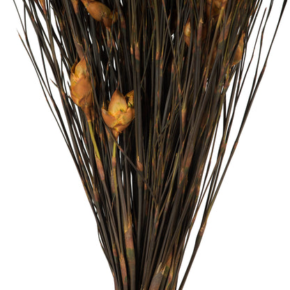 Vickerman 15-20" Aspen Gold Bell Female short 5-6 oz Bundle Preserved