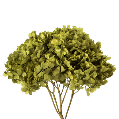 Vickerman 15" Antique Moss Hydrangea with Multiple Branch Segments. Preserved