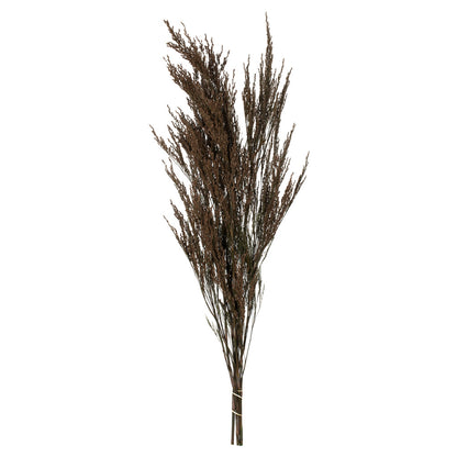 Vickerman 36-40" Green Reed Grass -Includes 8-9 oz per Bundle. Preserved