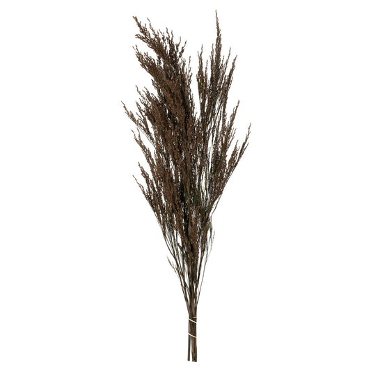 Vickerman 36-40" Green Reed Grass -Includes 8-9 oz per Bundle. Preserved