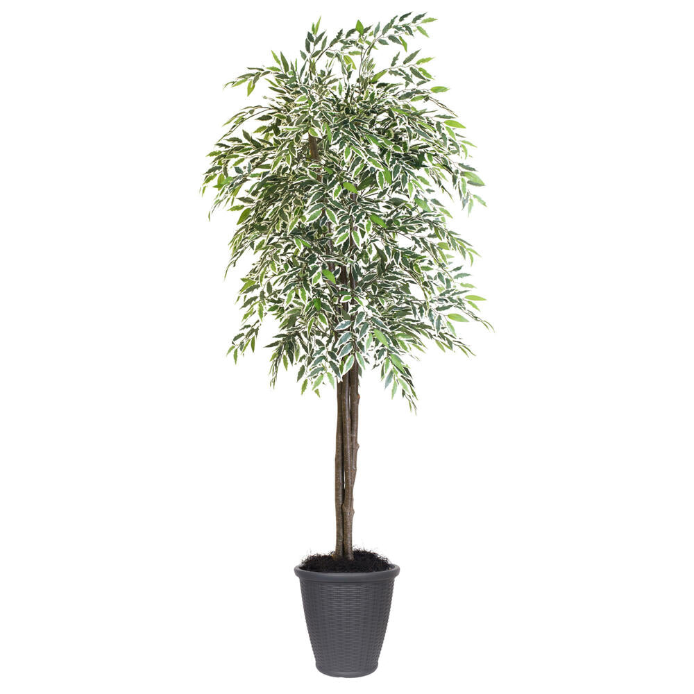 Vickerman 6' Artificial Varigated Smilax Deluxe Tree Gray Round Plastic Container.