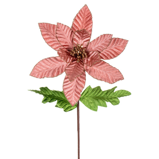 Vickerman 22" Rose Gold Velvet Glitter Trim Poinsettia 6 per bag.
