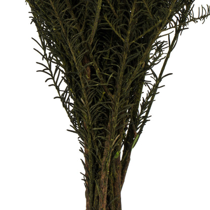 Vickerman 16" Natural Blush Rice Flower. Comes in a 4.25 oz Bundle. Preserved