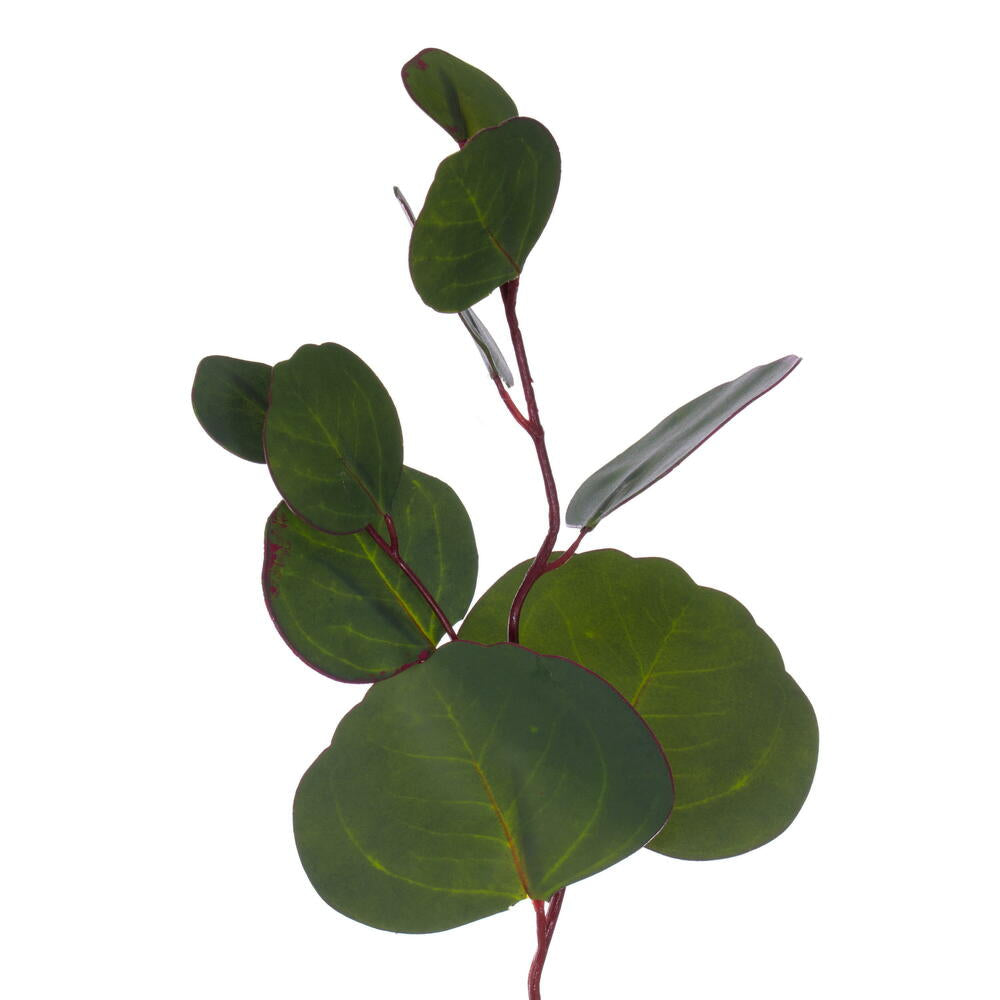 Vickerman 20" Artificial Green Silver Dollar Populus Eucalyptus Wreath