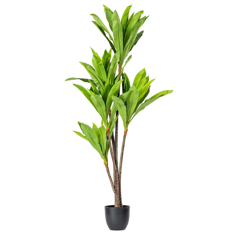 Vickerman 60" Artificial Real Touch Dracaena.