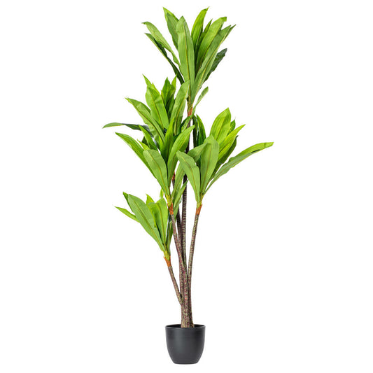 Vickerman 60" Artificial Real Touch Dracaena.