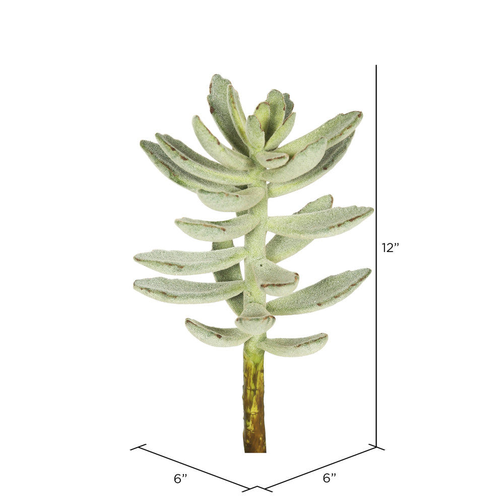 Vickerman 12" Artificial Frosted Green Pachyphytum Oviferum Stem Set of 3