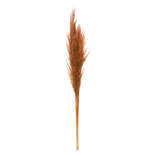 Vickerman 46" Dried Mocha Brown Pampas Grass 6 pack. It includes two stems. Recommended for Indoor.