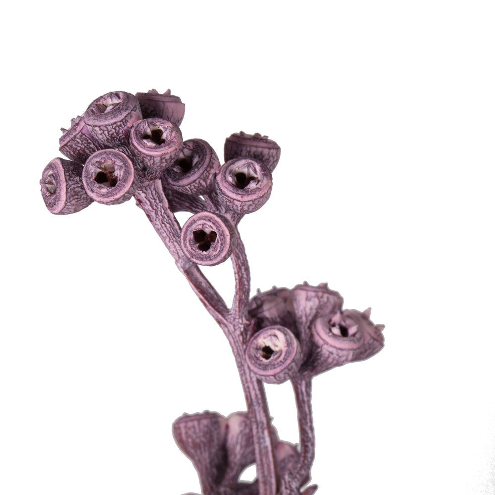 Vickerman Natural Botanicals 13" x 1-3" Red Gum Branch Brombeer Frosted 14 stems per unit