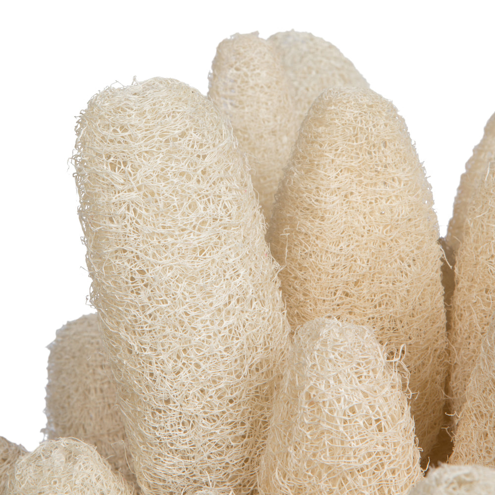 Vickerman Natural Botanicals 20" Luffa on Stem Bleached. Includes 25 Stems per Pack.