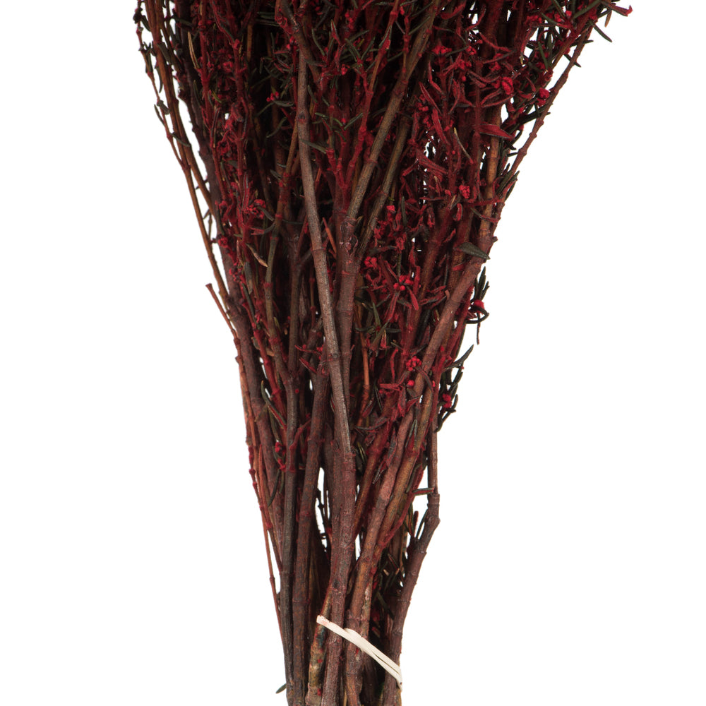 Vickerman 22-26" Red Grabia 5-6 oz Bundle Preserved