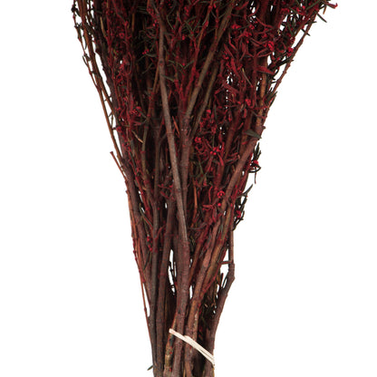 Vickerman 22-26" Red Grabia 5-6 oz Bundle Preserved